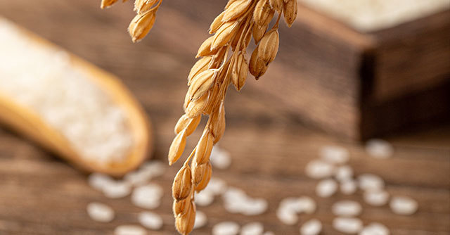 大(dà)米不(bù)能(néng)和(hé)什(shén)麽一(yī)起吃(chī)？